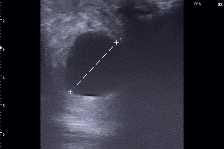 20240822003_20240830122335764